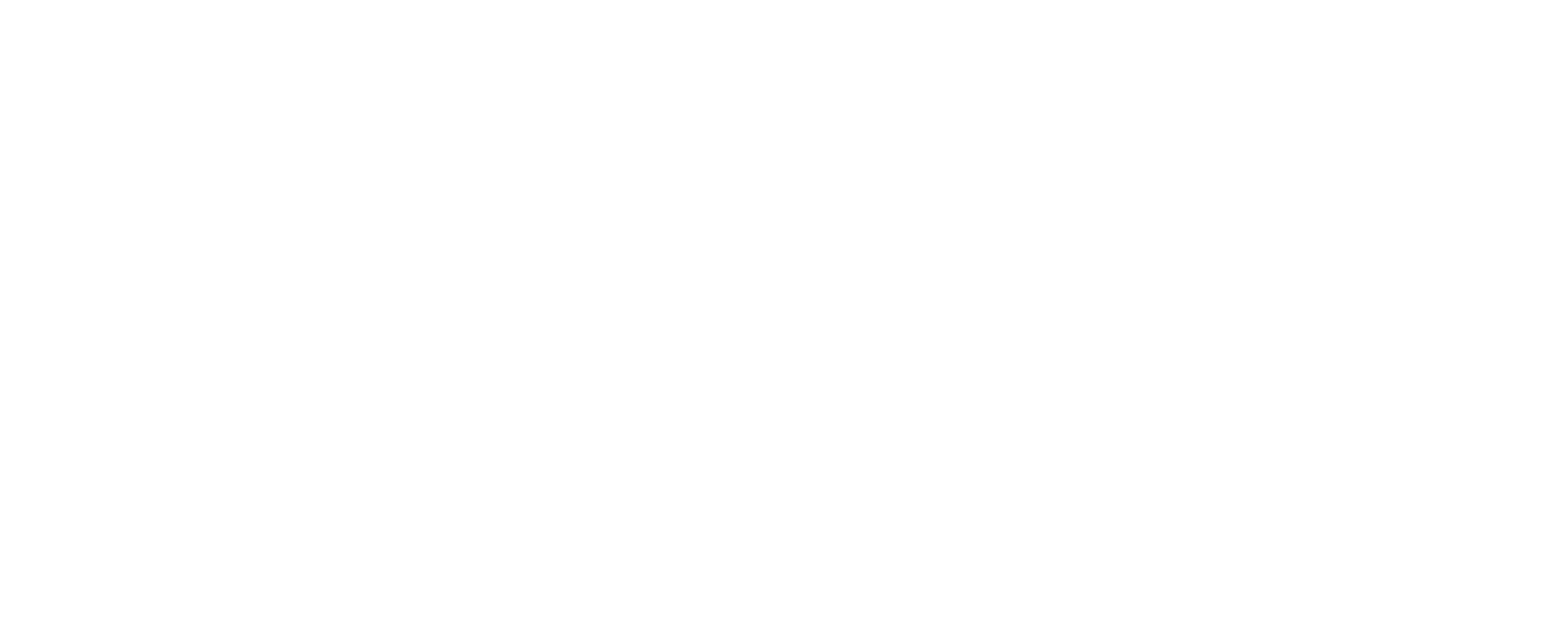 Hybridge Capital Management